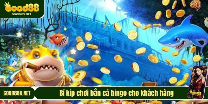 Bí kíp chơi bắn cá bingo cho khách hàng