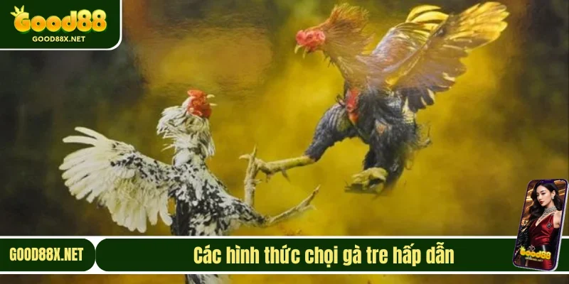 Những thể thức đá gà tre đình đám