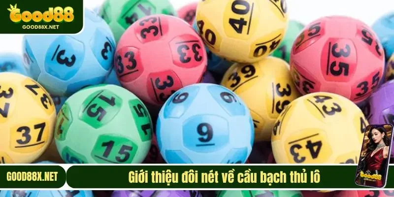 Giới thiệu đôi nét về cầu bạch thủ lô