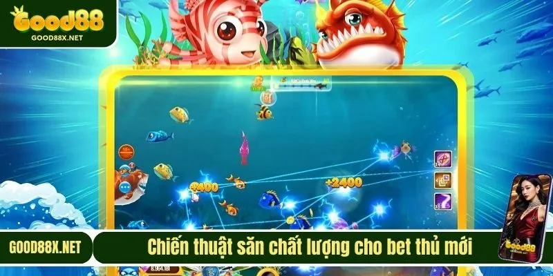 Chiến thuật săn chất lượng cho bet thủ mới