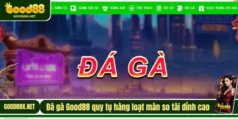 Đá gà Good88 quy tụ hàng loạt màn so tài đỉnh cao