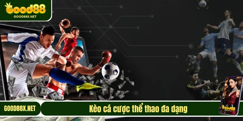 Các kèo cược thể thao phổ biến hiện nay