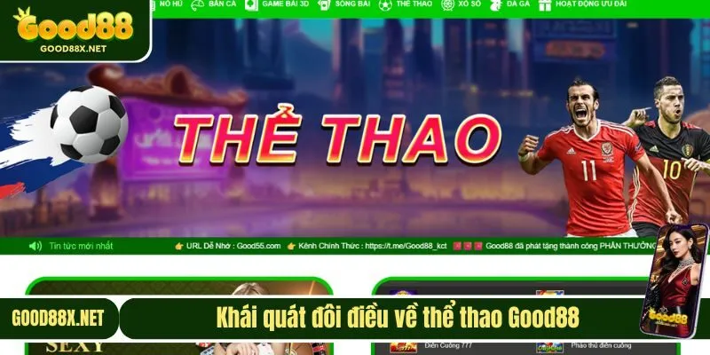 Khám phá vài nét thú vị về sân chơi thể thao Good88