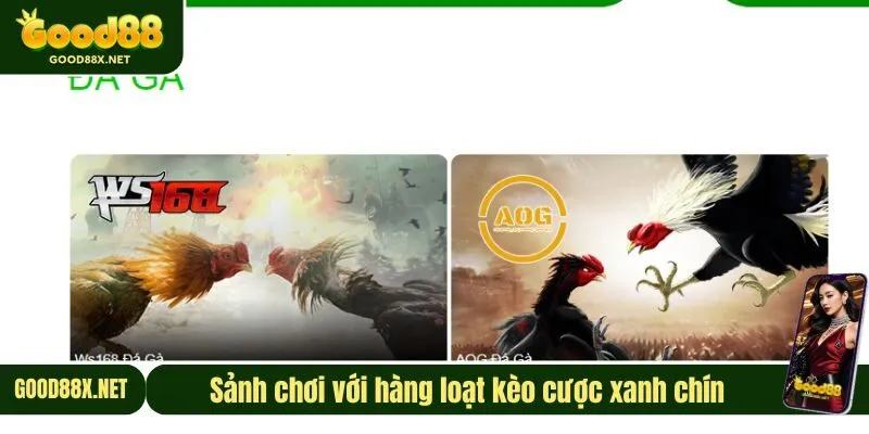 Sảnh chơi với hàng loạt kèo cược xanh chín