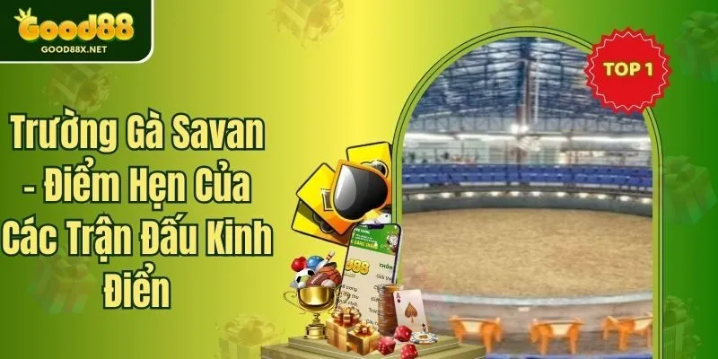 Trường Gà Savan - Điểm Hẹn Của Các Trận Đấu Kinh Điển