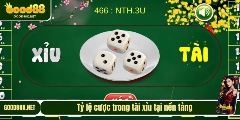 Tỷ lệ cược trong tài xỉu tại nền tảng